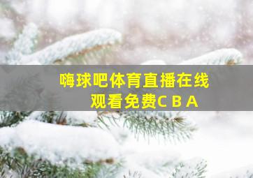 嗨球吧体育直播在线观看免费C B A